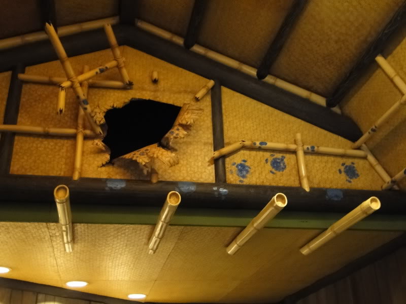Tokyo Disneyland Tiki Room
