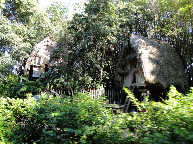 animal kingdom safari tour backstage