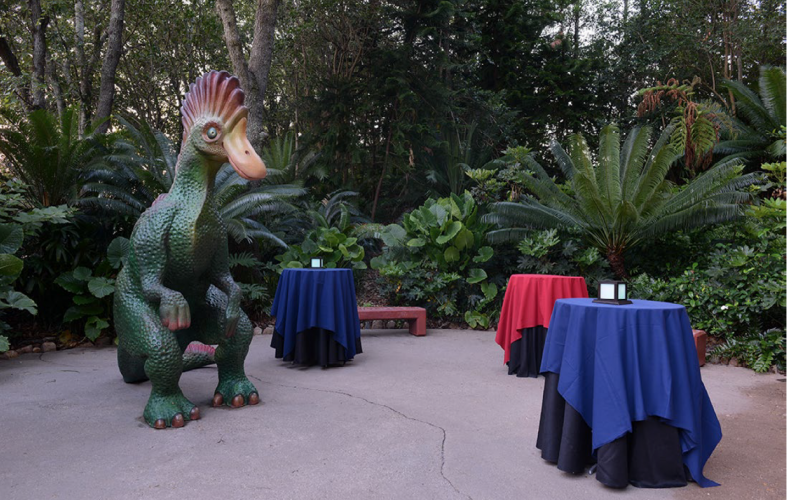 Dinosaur Patio Animal Kingdom • Fairytale Weddings Guide