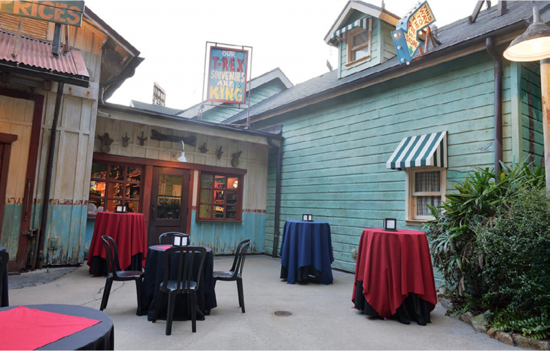 Dinosaur Patio Animal Kingdom • Fairytale Weddings Guide